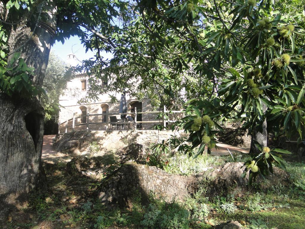 Finca La Colora Fuenteheridos Ngoại thất bức ảnh